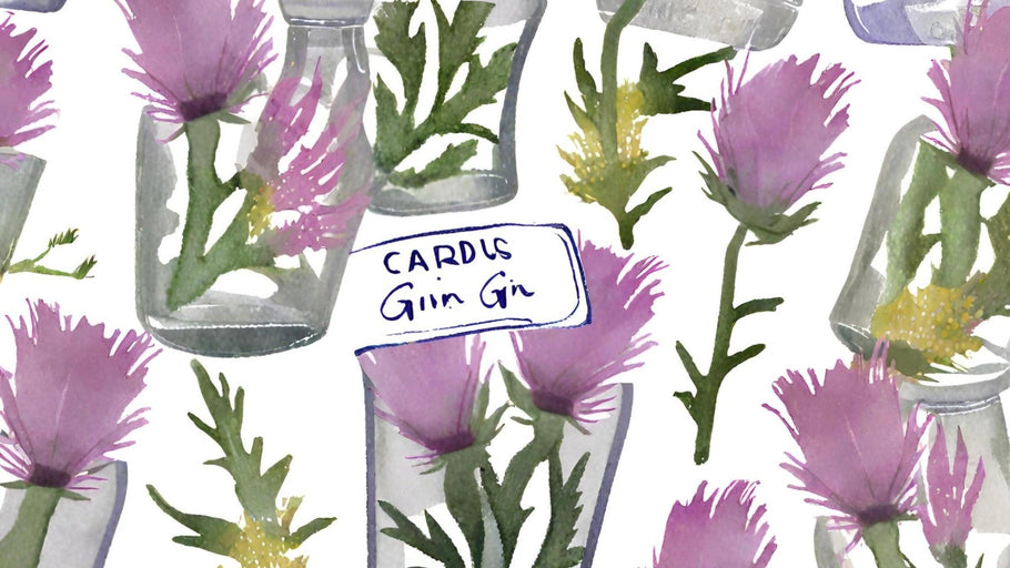 Gin Cardus: Ma Perché Sceglierlo?